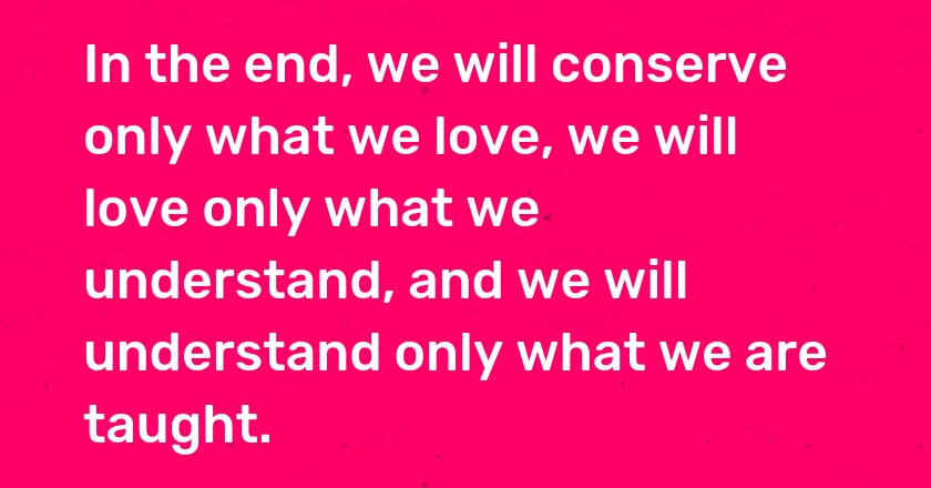 In the end, we will conserve only what we love, we will love only what we understand, and we will understand only what we are taught.