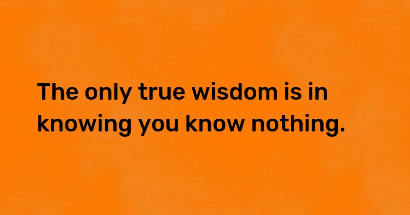 The only true wisdom is in knowing you know nothing.