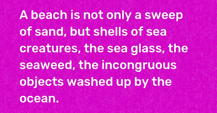 A beach is not only a sweep of sand, but shells of sea creatures, the sea glass, the seaweed, the incongruous objects washed up by the ocean.