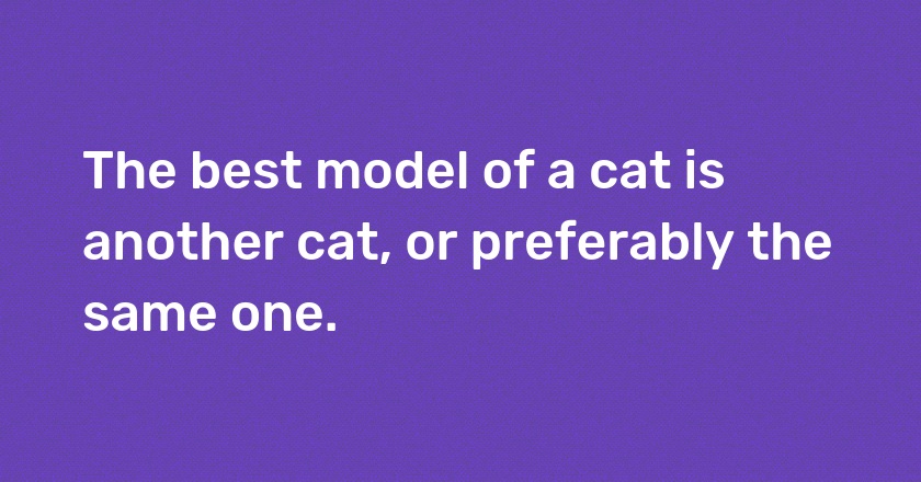 The best model of a cat is another cat, or preferably the same one.