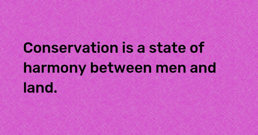 Conservation is a state of harmony between men and land.