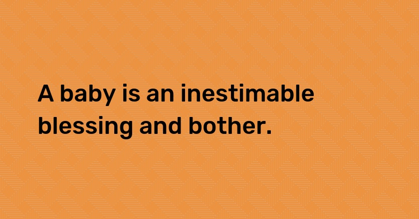 A baby is an inestimable blessing and bother.