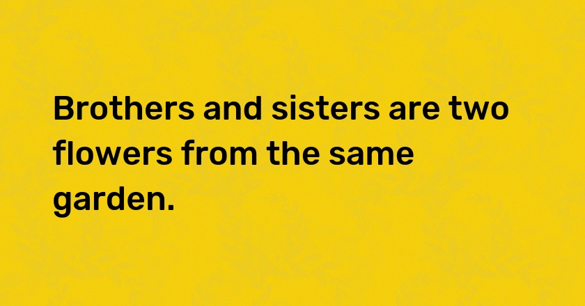 Brothers and sisters are two flowers from the same garden.