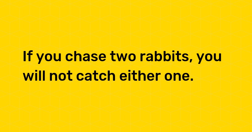 If you chase two rabbits, you will not catch either one.