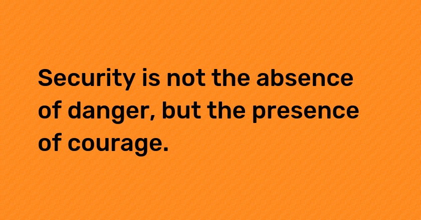 Security is not the absence of danger, but the presence of courage.