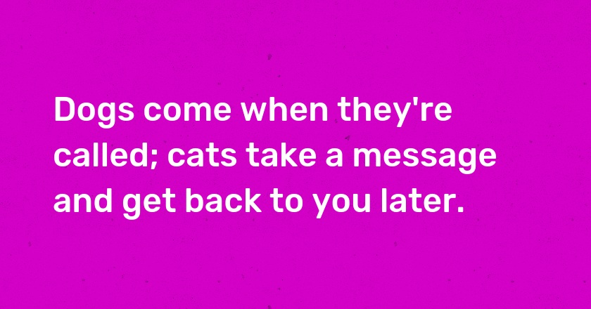 Dogs come when they're called; cats take a message and get back to you later.