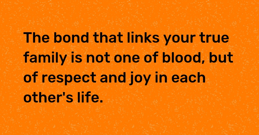 The bond that links your true family is not one of blood, but of respect and joy in each other's life.