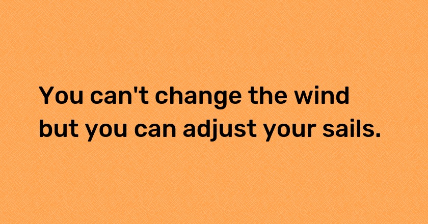 You can't change the wind but you can adjust your sails.