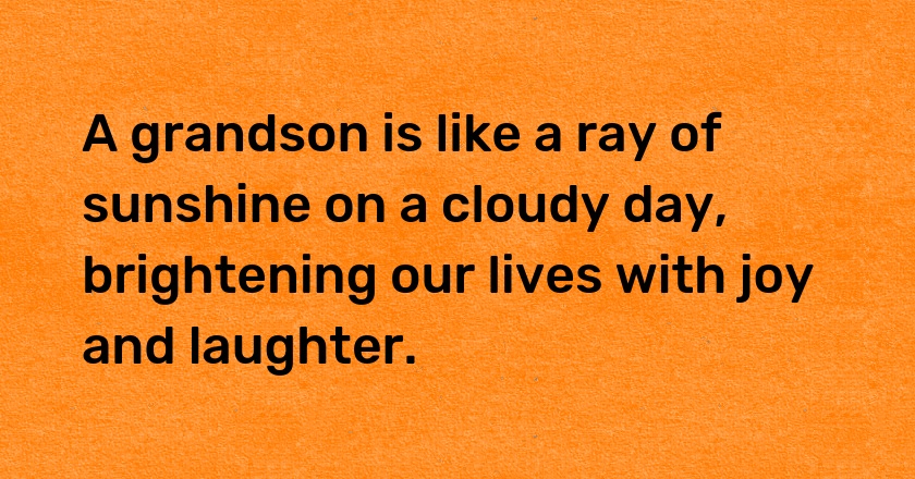 A grandson is like a ray of sunshine on a cloudy day, brightening our lives with joy and laughter.