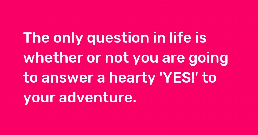 The only question in life is whether or not you are going to answer a hearty 'YES!' to your adventure.