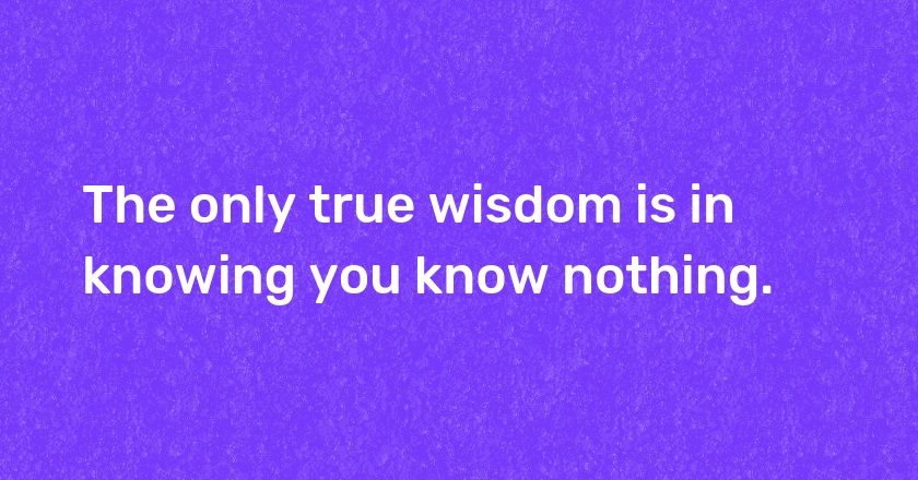 The only true wisdom is in knowing you know nothing.