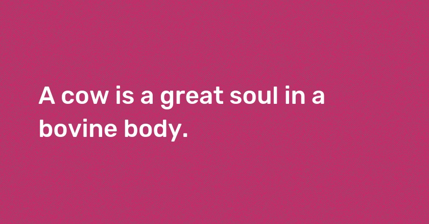 A cow is a great soul in a bovine body.