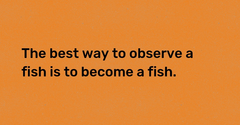 The best way to observe a fish is to become a fish.