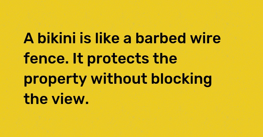 A bikini is like a barbed wire fence. It protects the property without blocking the view.