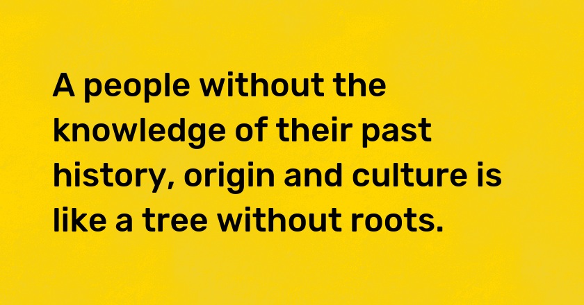 A people without the knowledge of their past history, origin and culture is like a tree without roots.