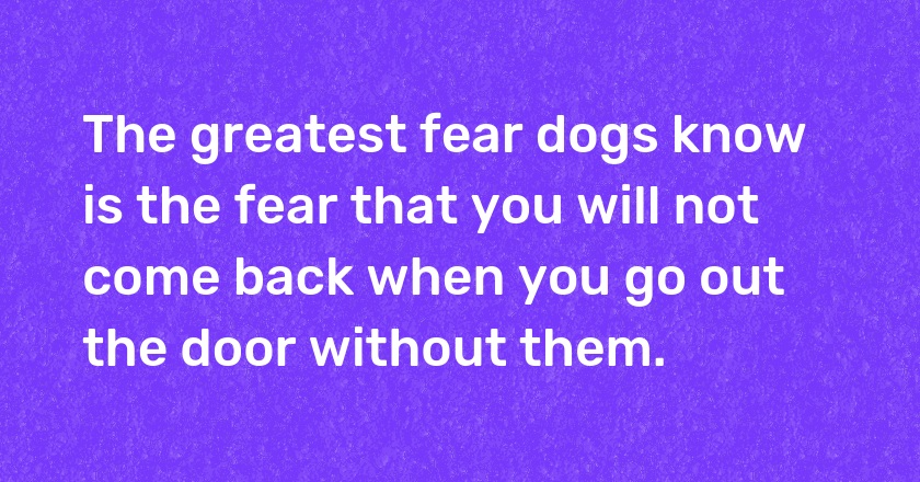 The greatest fear dogs know is the fear that you will not come back when you go out the door without them.