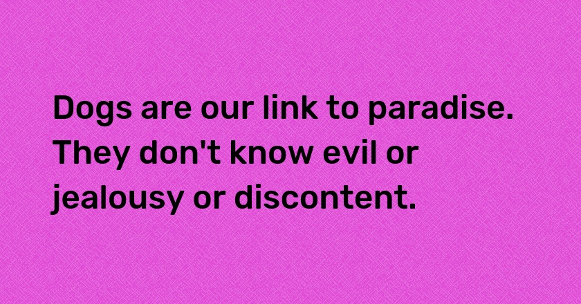 Dogs are our link to paradise. They don't know evil or jealousy or discontent.