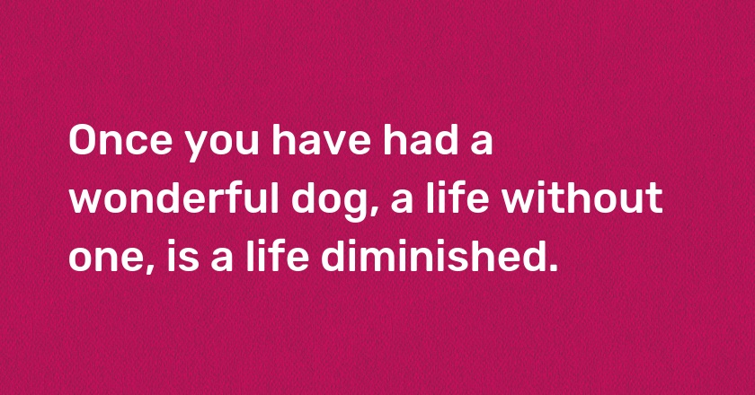 Once you have had a wonderful dog, a life without one, is a life diminished.