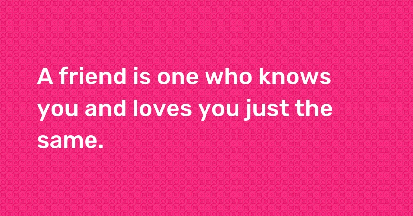 A friend is one who knows you and loves you just the same.