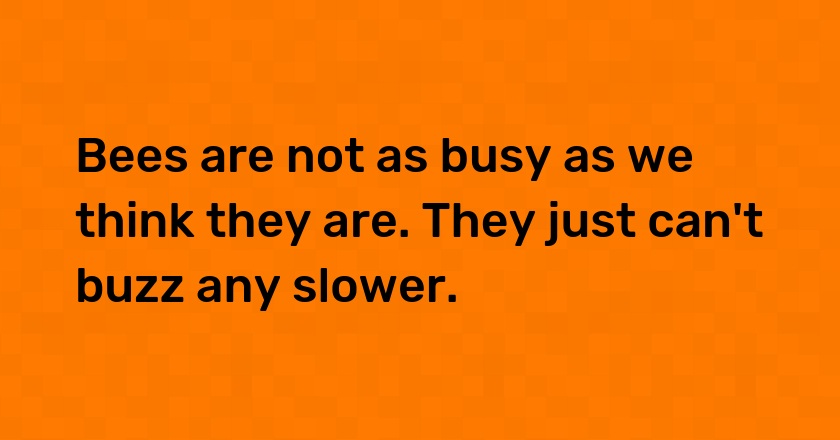 Bees are not as busy as we think they are. They just can't buzz any slower.