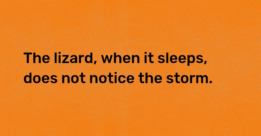 The lizard, when it sleeps, does not notice the storm.