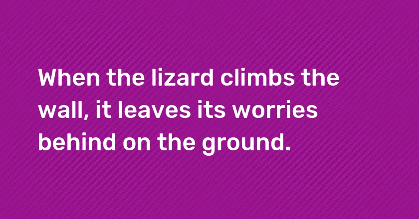 When the lizard climbs the wall, it leaves its worries behind on the ground.