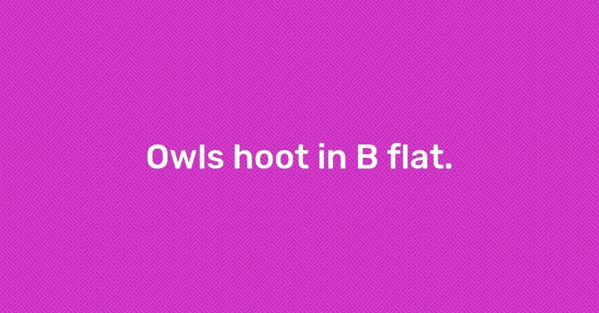 Owls hoot in B flat.