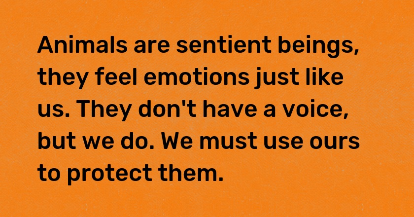 Animals are sentient beings, they feel emotions just like us. They don't have a voice, but we do. We must use ours to protect them.